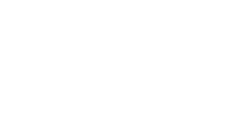 Light Logo